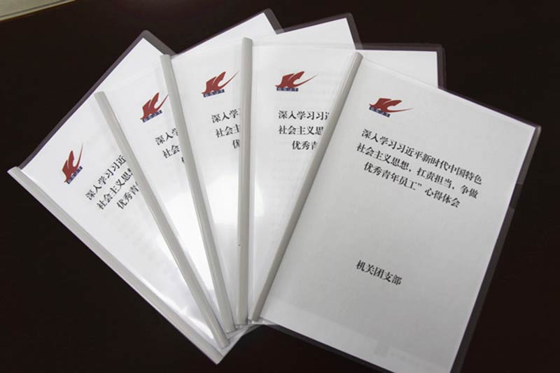 公司團委深入開展學(xué)習(xí)新思想，爭做扛責擔當優(yōu)秀青年員工活動